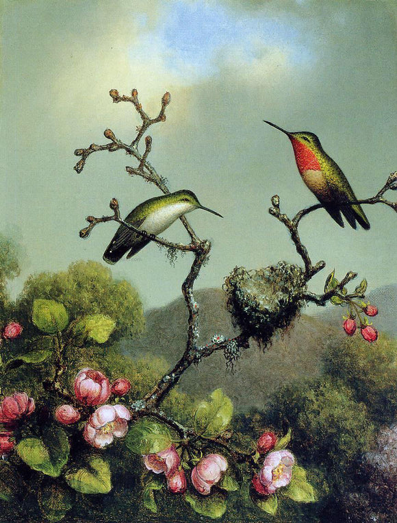  Martin Johnson Heade Ruby Throat of North America - Art Print