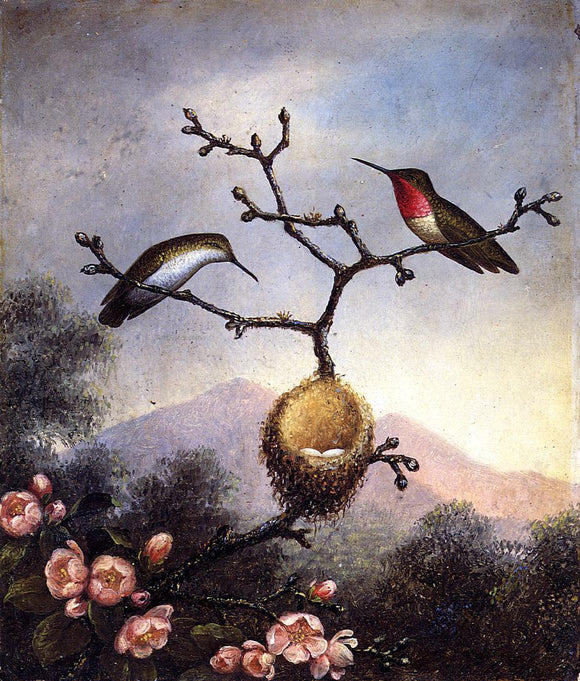  Martin Johnson Heade Ruby Throats with Apple Blossoms - Art Print