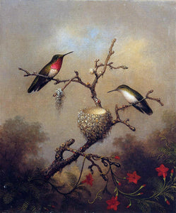  Martin Johnson Heade Ruby-Throated Hummingbird - Art Print