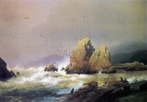  Herman Herzog Seal Rocks - Art Print