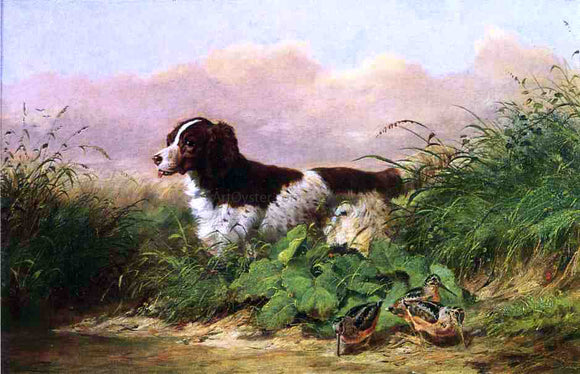  Arthur Fitzwilliam Tait Setter and Woodcock - Art Print