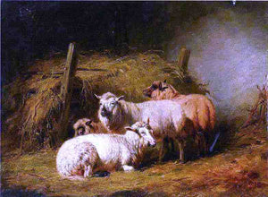  Arthur Fitzwilliam Tait Sheep in Shed - Art Print