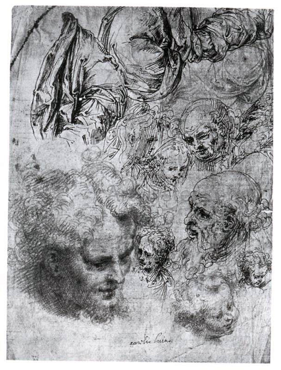  Aurelio Luini Sheet of Studies of Figures and Heads - Art Print