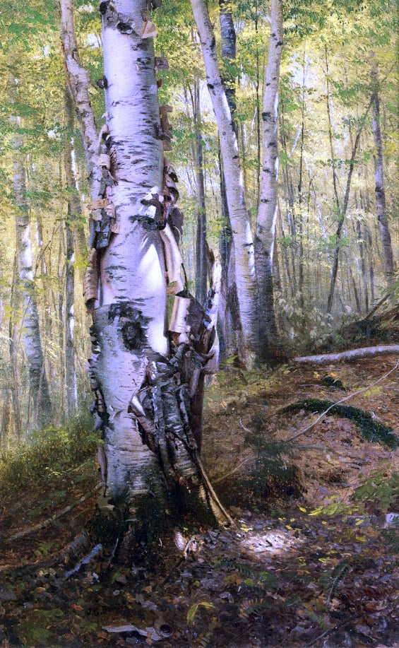  John George Brown Silver Birches - Art Print