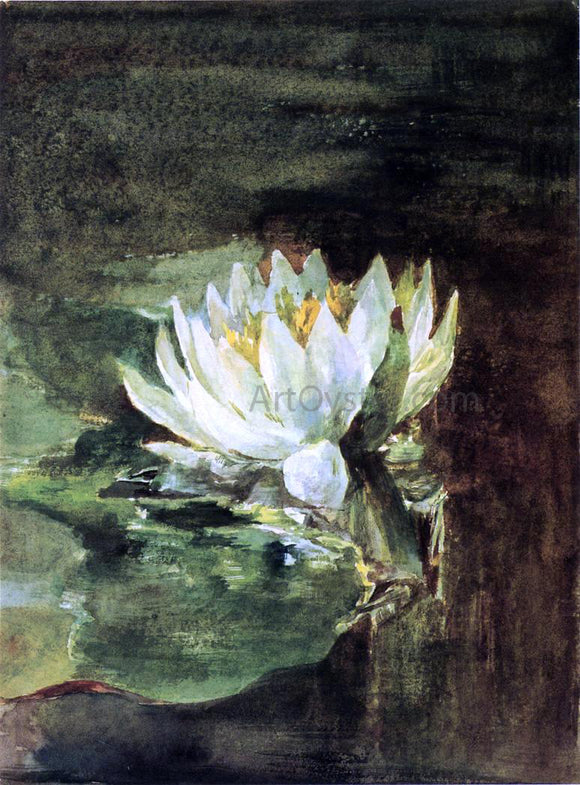  John La Farge Single Water-Lily in Sunlight - Art Print