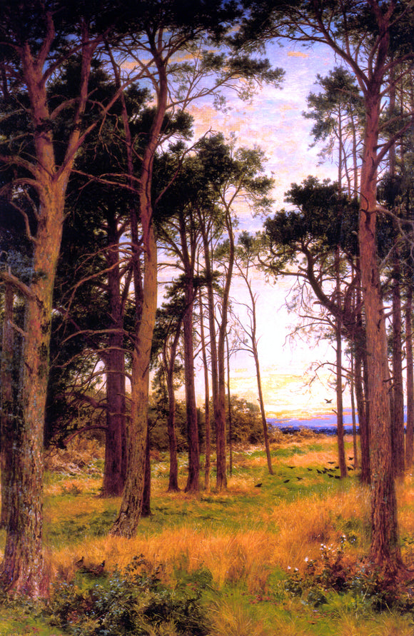  Benjamin Williams Leader Skirt of a Pine Wood - Art Print