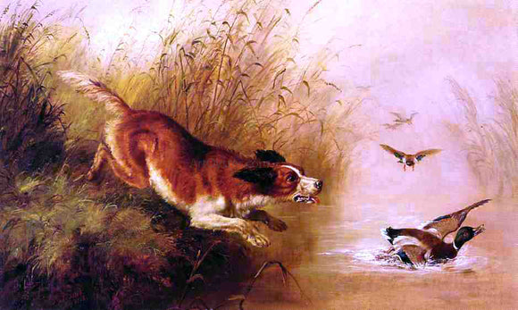  Arthur Fitzwilliam Tait Spaniel Chasing Ducks - Art Print