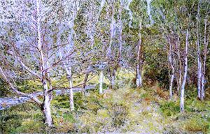  Frederick Childe Hassam Spring Woods - Art Print