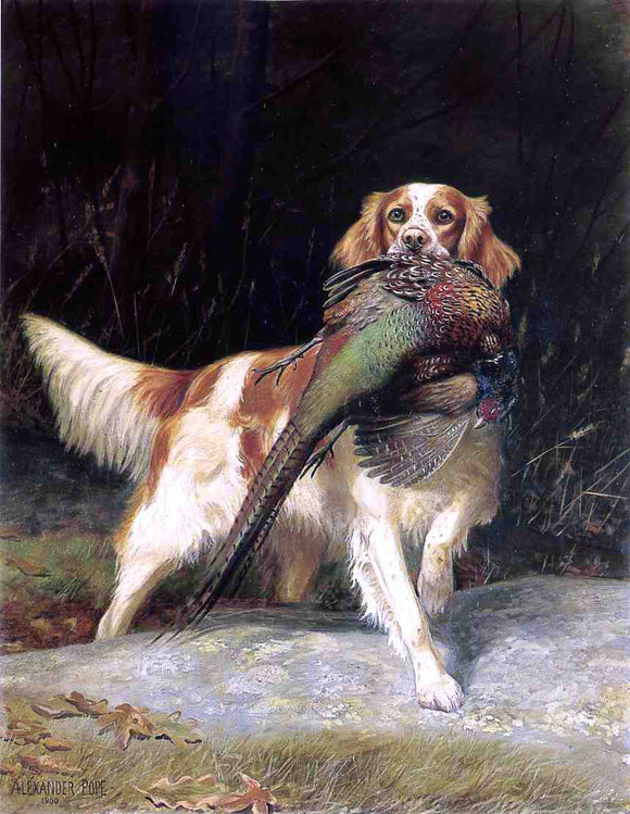  Alexander Pope Springer Spaniel with Pheasant - Art Print