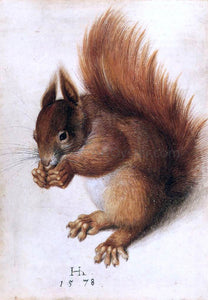  Hans Hoffmann A Squirrel - Art Print