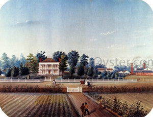  Marie Adrien Persac St. John, St. Martin Parish - Art Print