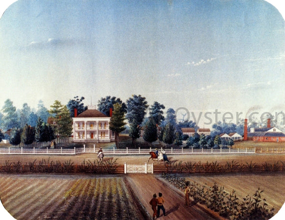  Marie Adrien Persac St. John, St. Martin Parish - Art Print
