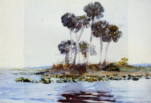  Winslow Homer St. John's River, Florida - Art Print