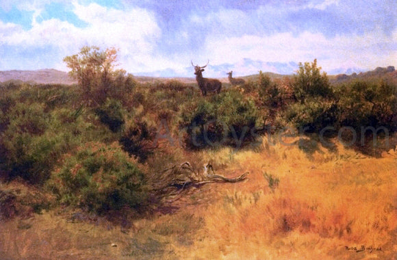  Rosa Bonheur Stag and Doe in a Landscape - Art Print