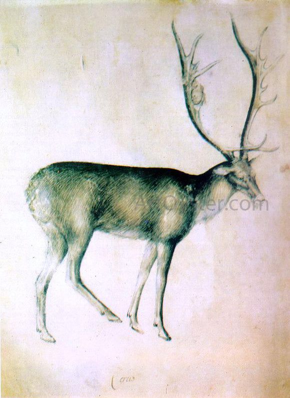  Giovannino De' Grassi Stag (from a sketch-book) - Art Print