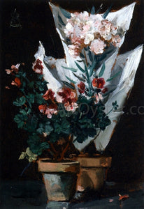  Alfred Emile Leopold Stevens Still Life wit Potted Geraniums - Art Print