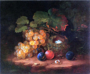  George Forster Still Life with Fruit, Bird's Nest and Broken Egg - Art Print