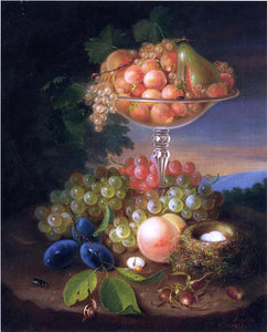  George Forster Still Life with Fruit, Nest of Eggs and Insects - Art Print