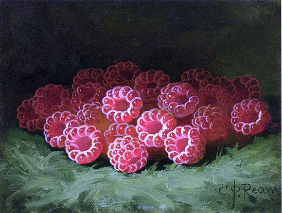  Carducius Plantagenet Ream Still Life with Raspberies - Art Print