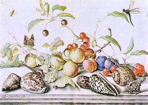  Balthasar Van der Ast Still-Life - Art Print