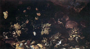  Paolo Porpora Still-Life with a Snake, Frogs, Tortoise and a Lizard - Art Print