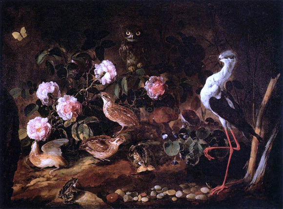  Paolo Porpora Still-Life with an Owl and an Ibis - Art Print