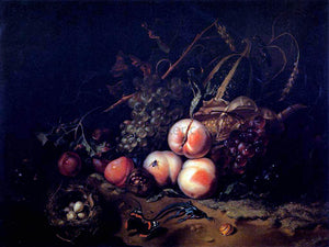  Rachel Ruysch Still-Life with Fruit and Insects - Art Print