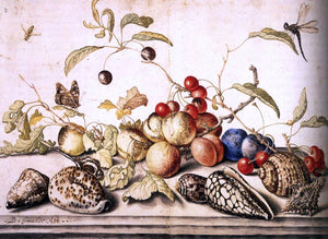  Balthasar Van der Ast Still-Life with Plums, Cherries, and Shells - Art Print