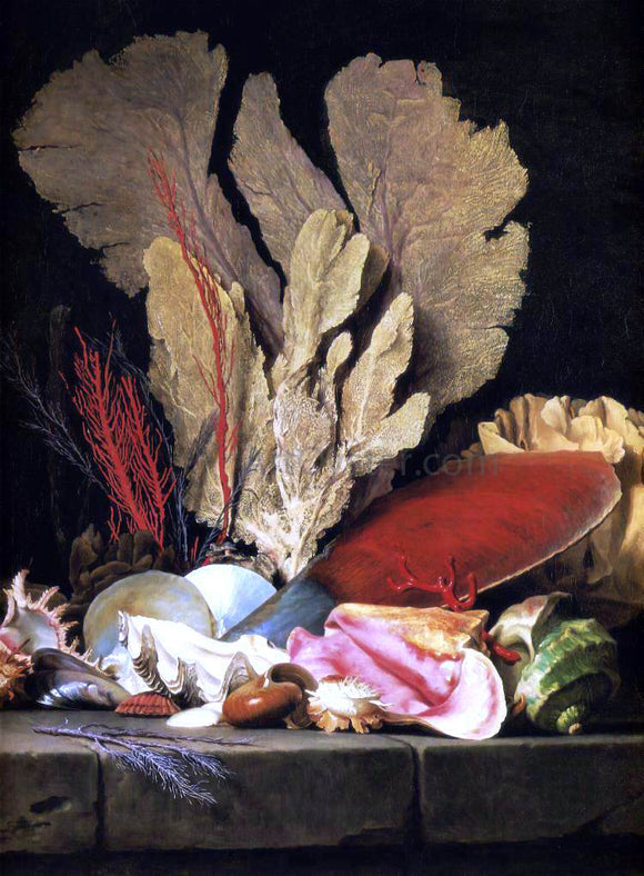  Anne Vallayer-Coster Still-Life with Tuft of Marine Plants, Shells and Corals - Art Print