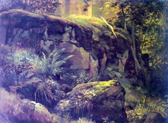  Ivan Ivanovich Shishkin Stones in the forest, Valaam (etude) - Art Print