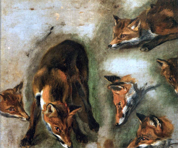 Pieter Boel Studies of a Fox - Art Print