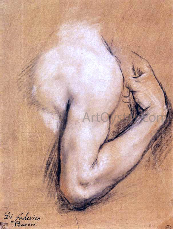  Federico Fiori Barocci Study of a Bent Right Arm - Art Print