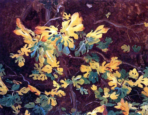  John Singer Sargent Study of a Fig Tree - Art Print