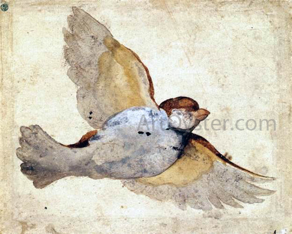  Giovanni Da Udine Study of a Flying Sparrow - Art Print