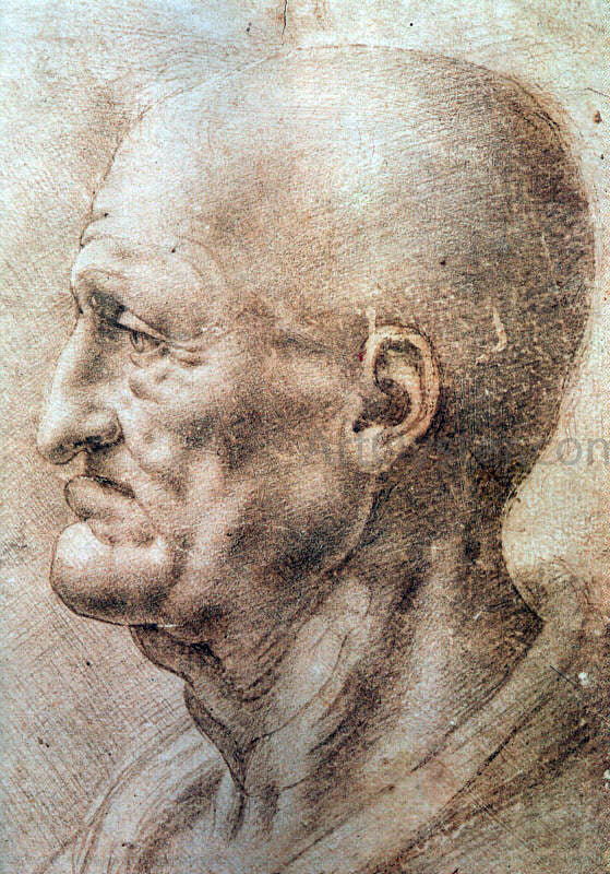  Leonardo Da Vinci Study of an Old Man's Profile - Art Print
