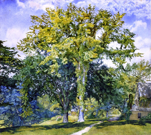  Henry Roderick Newman Study of Elms - Art Print