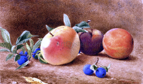  John William Hill Study of Fruit - Art Print