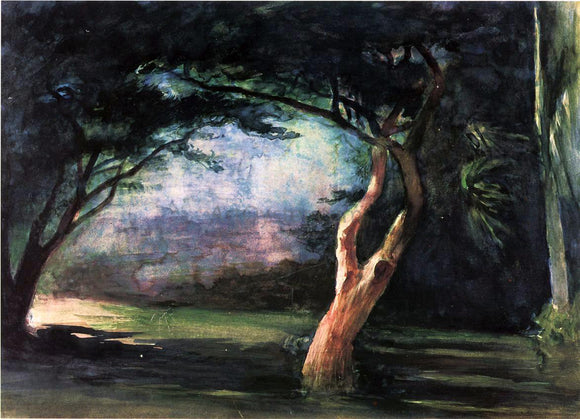  John La Farge Study of Trees in Moonlight, at Honolulu - Art Print
