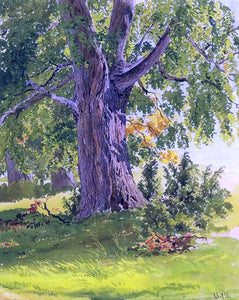  Ivan Ivanovich Shishkin Sunny Oak - Art Print