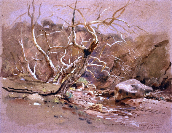  Jr. Samuel Colman Sycamore Canyon - Art Print