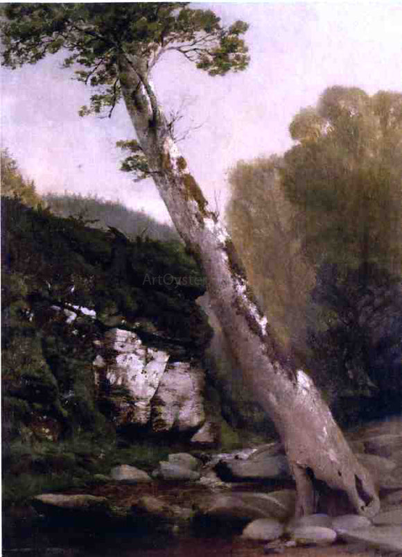  John Williamson Sycamore, Catskill Clove, Below Haines Falls - Art Print