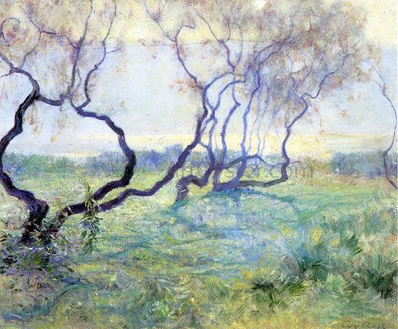  Guy Orlando Rose Tamarisk Trees in Early Sunlight - Art Print