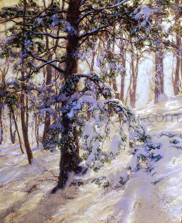  Walter Launt Palmer The Bent Branch - Art Print