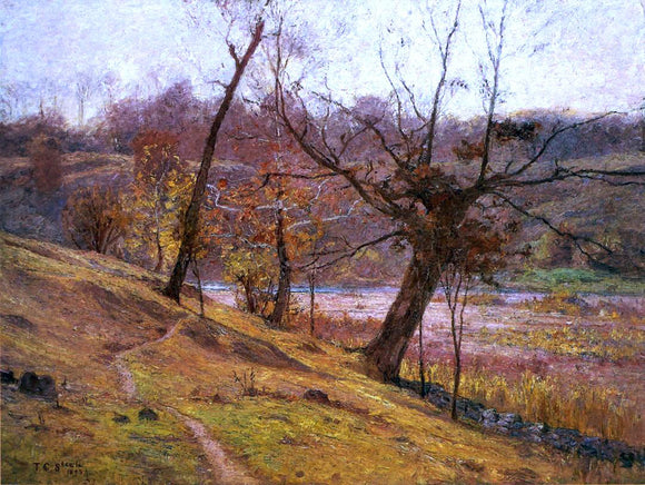  Theodore Clement Steele The Bloom of the Grape - Art Print