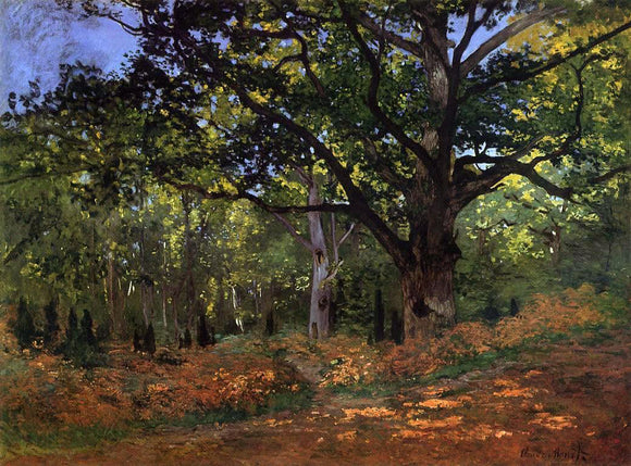  Claude Oscar Monet The Bodmer Oak, Fontainebleau - Art Print