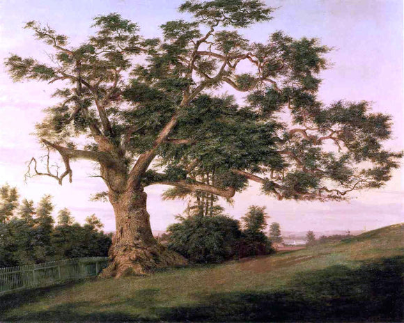  Charles De Wolf Brownell The Charter Oak - Art Print