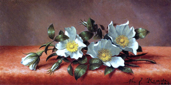  Martin Johnson Heade The Cherokee Rose - Art Print