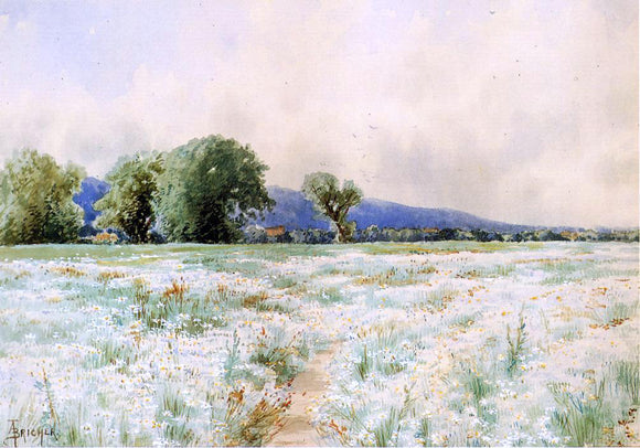  Alfred Thompson Bricher The Daisy Field - Art Print