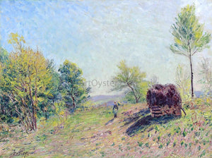  Alfred Sisley The Edge of the Forest - Art Print