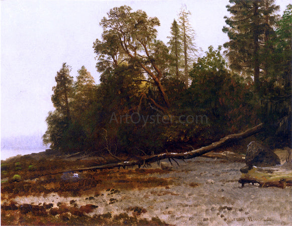  Albert Bierstadt The Fallen Tree - Art Print